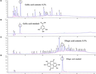 Chestnut inner shell extract inhibits viral entry of porcine epidemic diarrhea virus and other coronaviruses in vitro